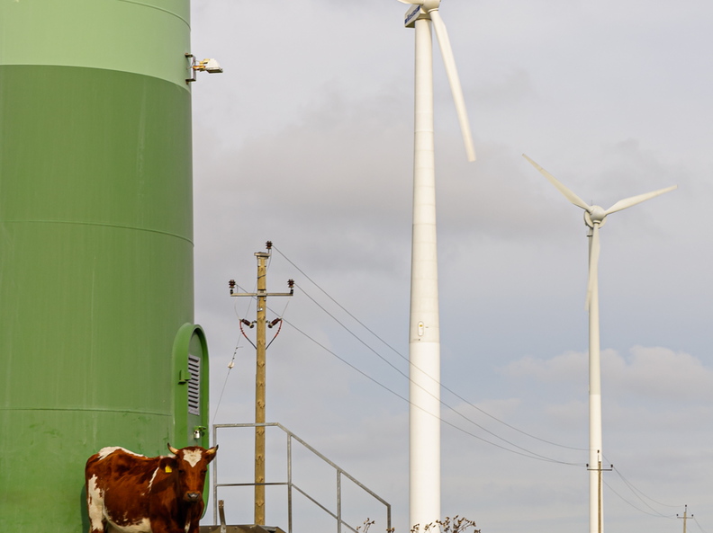  Lehm rohelist energiat toetamas
