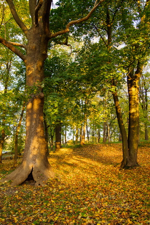  Salajane peidupaik Kadrioru pargis