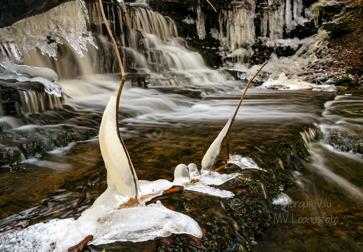 Vasaristi joastiku jääst kaunistused