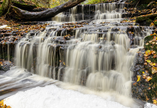 Vasaristi joastik sügisel