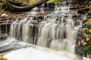 Vasaristi joastik sügisel