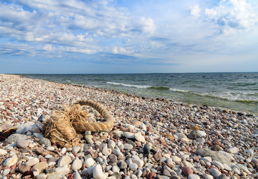 Köis kivisel rannal