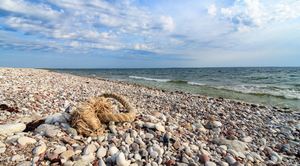 Köis kivisel rannal