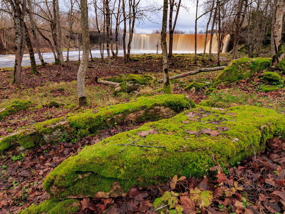 Jägala juga ja sammaldunud kivid