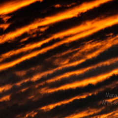  Triibuline loojuva päikesega taevas