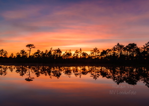   Päikeseloojang rabas