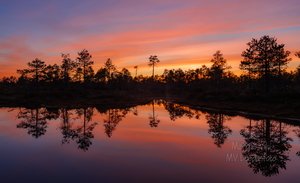  Päikeseloojang rabas