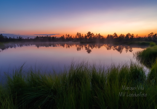  Laugas või väike rabajärv?