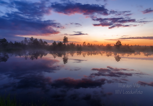  Tulemas on ilus päev