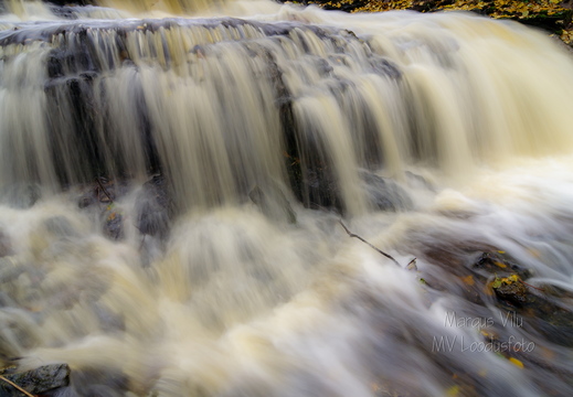 Vasaristi joastiku veed