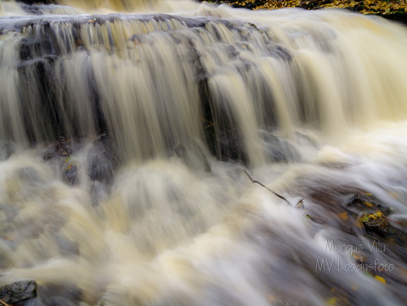 Vasaristi joastiku veed