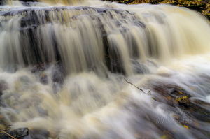 Vasaristi joastiku veed