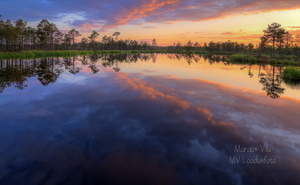 Õhtuse taeva värvid laukas
