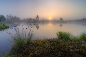 Päikese tõus nautimine rabalauka serval