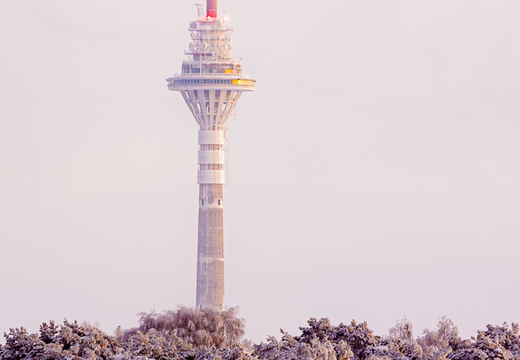 Tallinna tuletorn talvise metsa taga