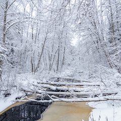 Lumised sillad üle jõe