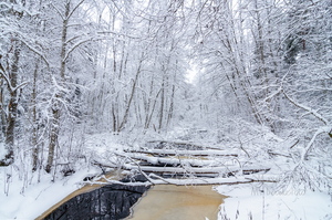 Lumised sillad üle jõe