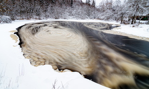 Jäätaldrkute pöörised