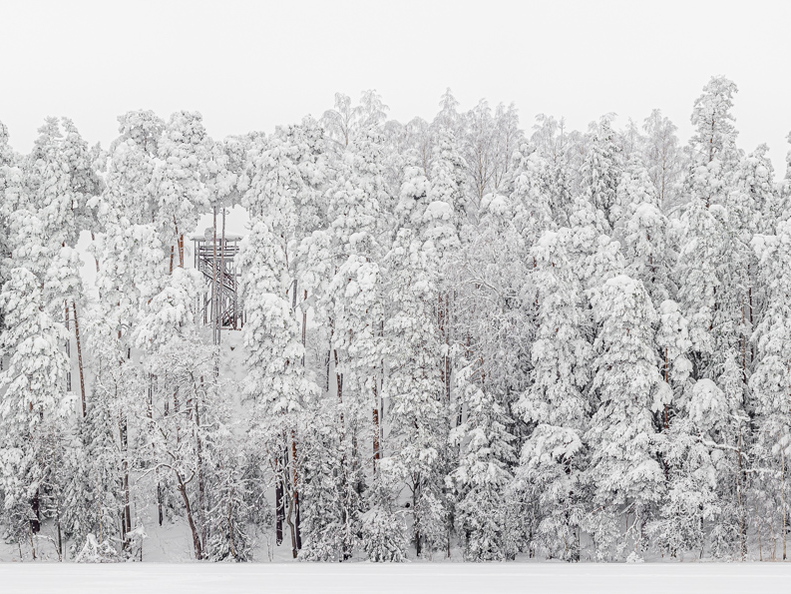 Lumme mattunud metsa panoraam