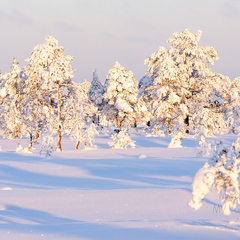 Lumest täitsa lookas