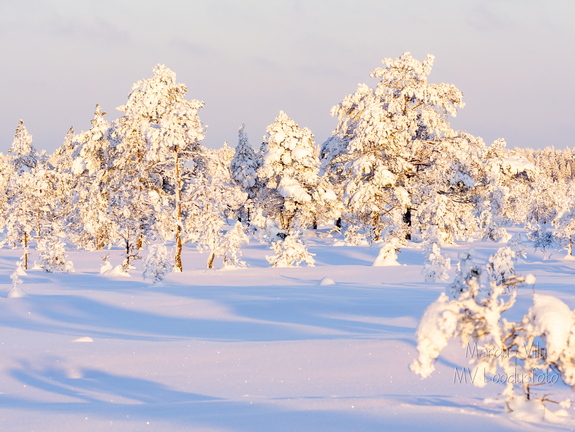 Lumest täitsa lookas