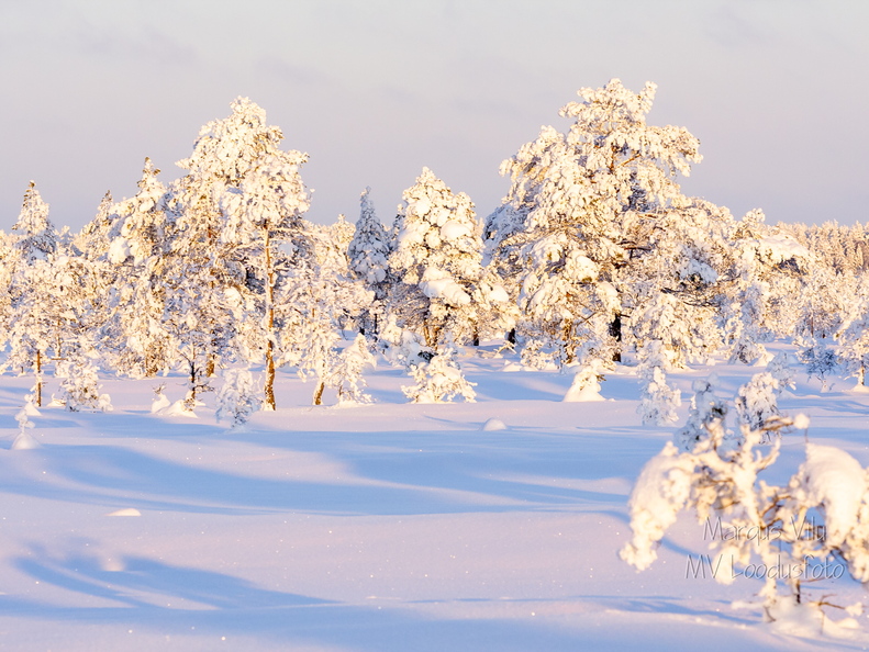 Lumest täitsa lookas
