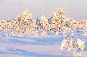 Lumest täitsa lookas