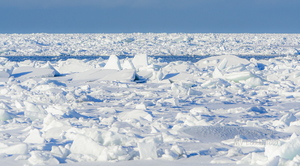  Rüsijääga kaetud meri