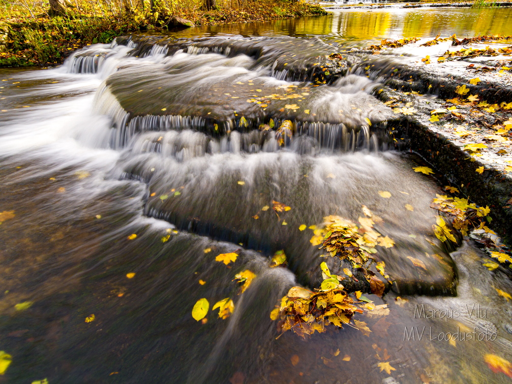  Joaveski joastik sügisel