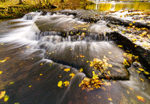  Joaveski joastik sügisel