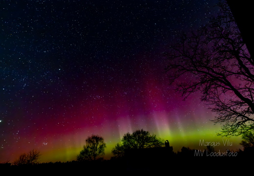 Virmalised Saaremaal