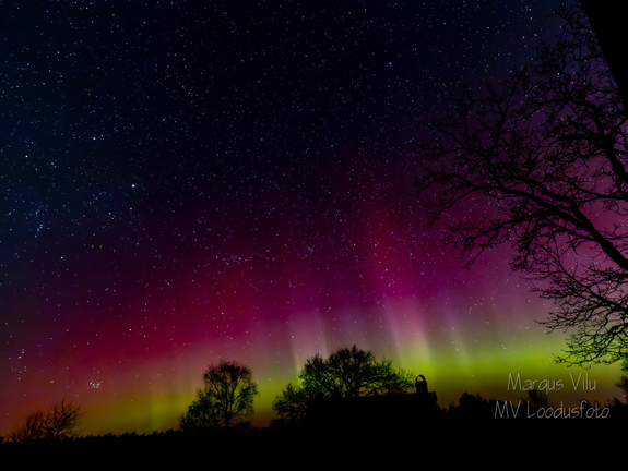 Virmalised Saaremaal