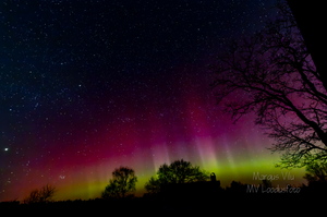 Virmalised Saaremaal