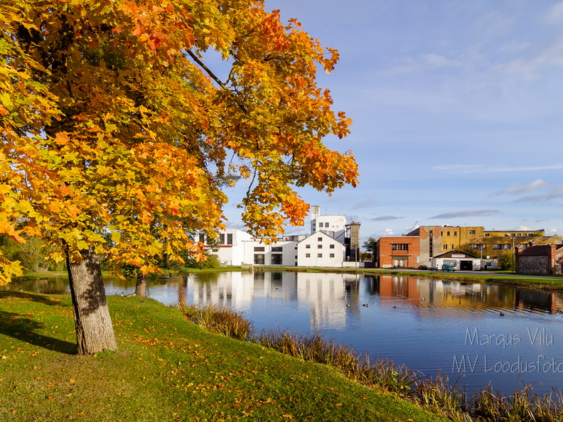  Rakvere rahvaaia tiik, taamal piiritusetehas