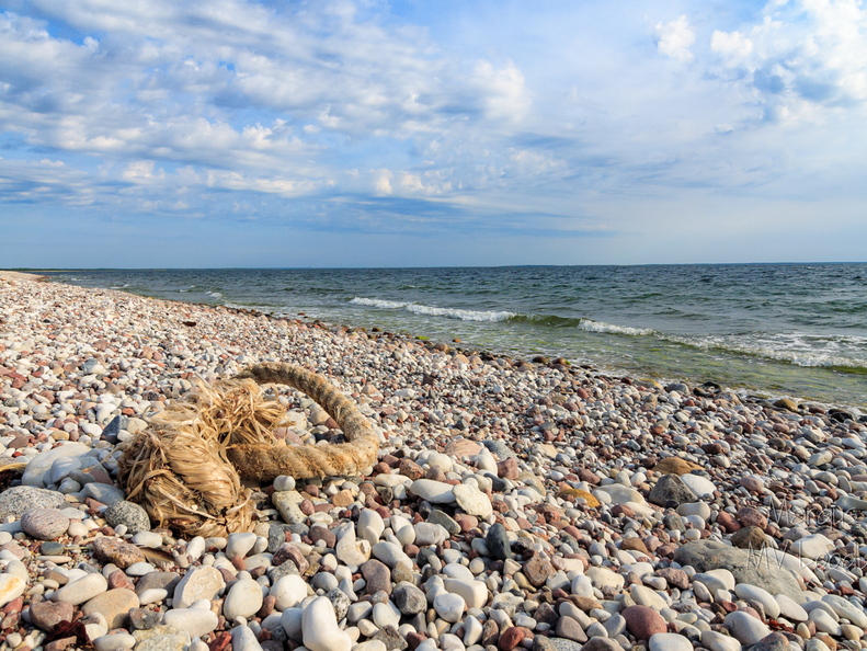 Köis kivisel rannal