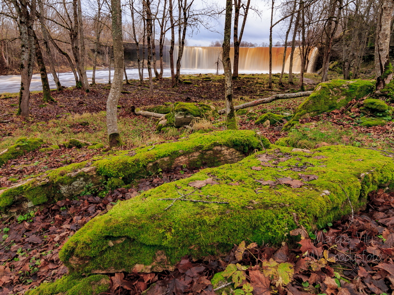 Jägala juga ja sammaldunud kivid