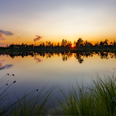  Viimased päikesekiired