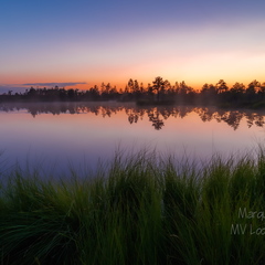  Laugas või väike rabajärv?