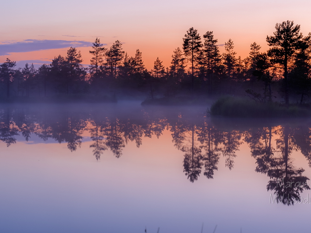  Viimane hetk enne pimedaks minemist