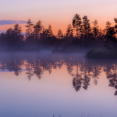  Viimane hetk enne pimedaks minemist