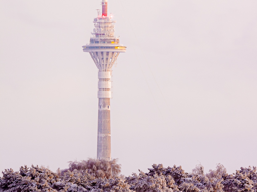 Tallinna tuletorn talvise metsa taga