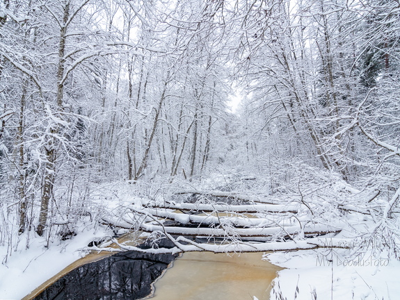 Lumised sillad üle jõe