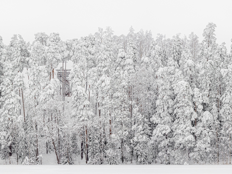 Lumme mattunud metsa panoraam